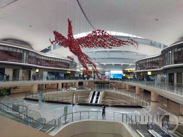 牛8速配 凝心聚力巴渝行丨政协委员建言献策 助力内陆开放国际合作引领区建设