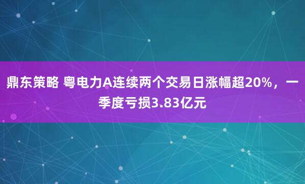鼎东策略 粤电力A连续两个交易日涨幅超20%，一季度亏损3.83亿元