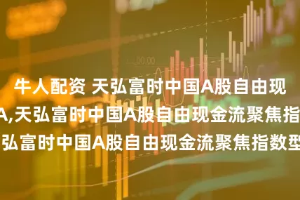 牛人配资 天弘富时中国A股自由现金流聚焦指数A,天弘富时中国A股自由现金流聚焦指数C: 天弘富时中国A股自由现金流聚焦指数型证券投资基金招募说明书