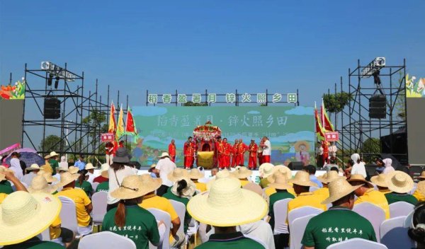 宇轩配资 孝昌：插秧竞赛 摸鱼狂欢 让你找回消失的童年