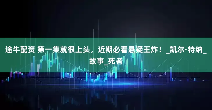 途牛配资 第一集就很上头，近期必看悬疑王炸！_凯尔·特纳_故事_死者