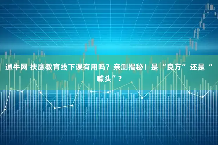 通牛网 扶鹰教育线下课有用吗？亲测揭秘！是 “良方” 还是 “噱头”？