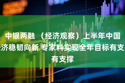 中银两融 （经济观察）上半年中国经济稳韧向新 专家料实现全年目标有支撑